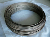 Hastelloy B2 Wire