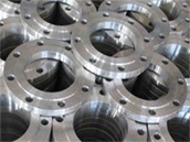 Hastelloy C276 Flanges