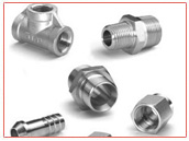 Stainless Steel 310S Forged Fittings
