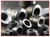 Stainless Steel 316 Forged Fittings