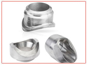 Stainless Steel 317L Outlet Fittings